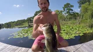 Fishing Compilation