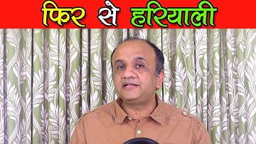 Underground Money Flow | Option Chain Analysis