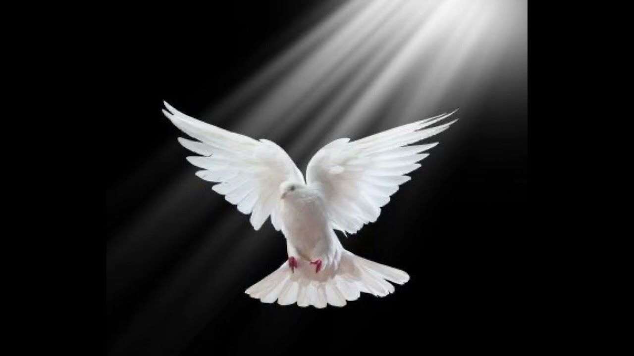 Prédication: les dons spirituels (Jason holderbaum)