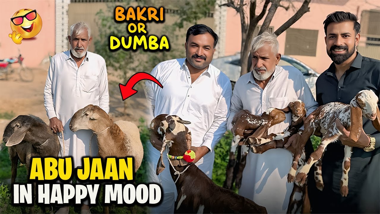 New Surprise For Abu Jan 😍 | ابو جان کے لیے ایک بکری اور دو دنبے لے کر آئے