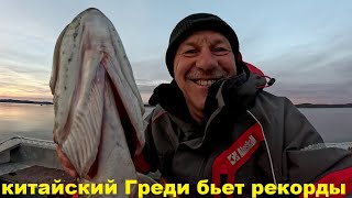 видео: Китайский Greedy-Guts бьет рекорды. Роль точности заброса. Джерк. картинка: Китайский Greedy-Guts бьет рекорды. Роль точности заброса. Джерк.