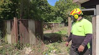 We removed most of the trees at the property (Huge change)