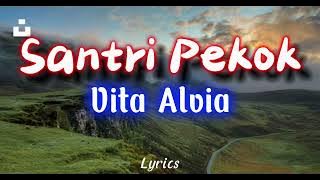 Vita Alvia - Santri Pekok | Dj Remix (Video Lirik)