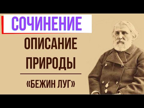 Описание природы в рассказе «Бежин луг» И. Тургенева