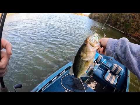 Fall -#spinnerbait #bass fishing . St croix rods put to work . 61 degrees water temp – 10/25/23