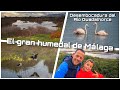 Desembocadura del Río Guadalhorce | El gran humedal de Málaga 🦩🌊🌲🪾 #malaga #humedal #rio #flamencos 