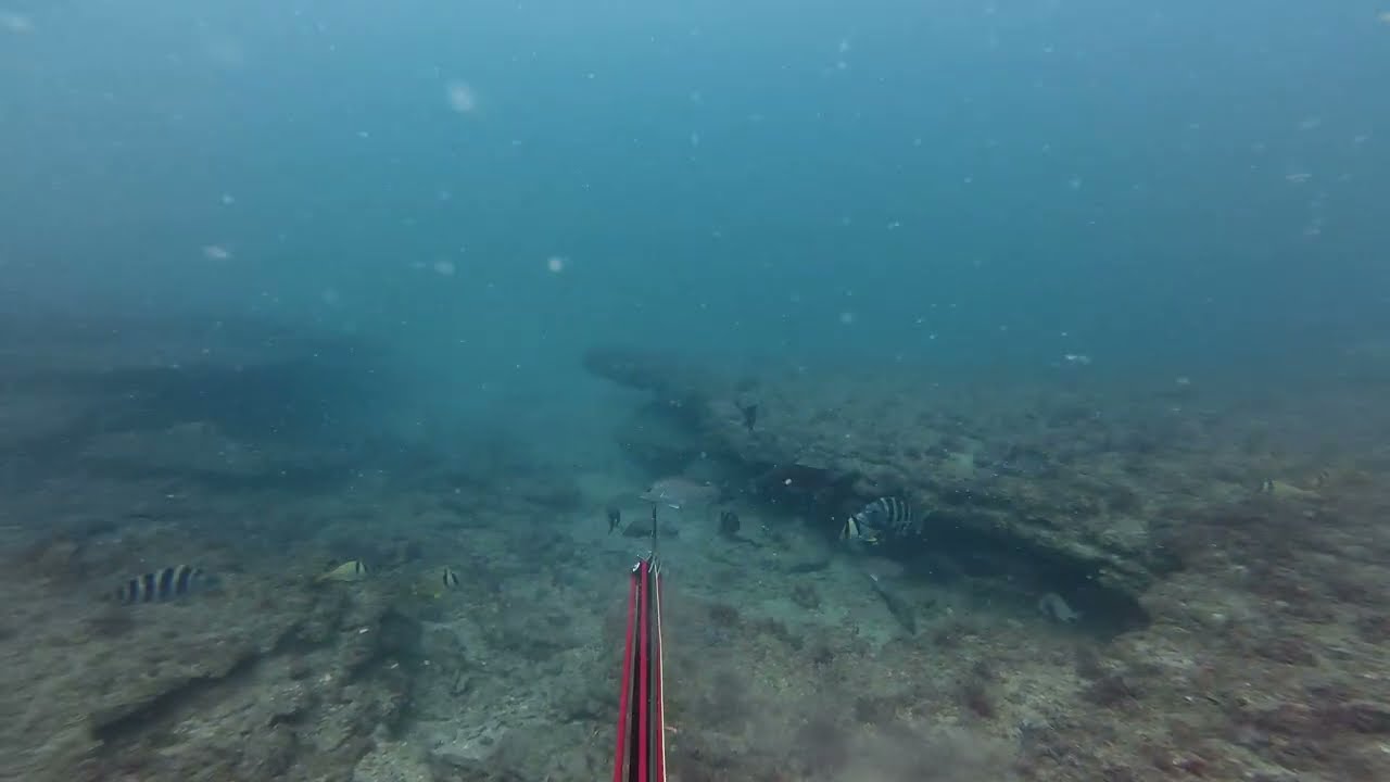 Target Rich Enviorment