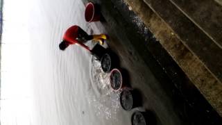泰國湄南河畔放生讀書會20170521 2