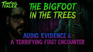 The Bigfoot in the Trees: Audio, Evidence & A Terrifying First Encounter