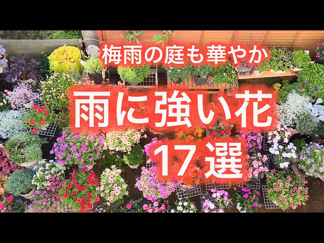 ガーデニング