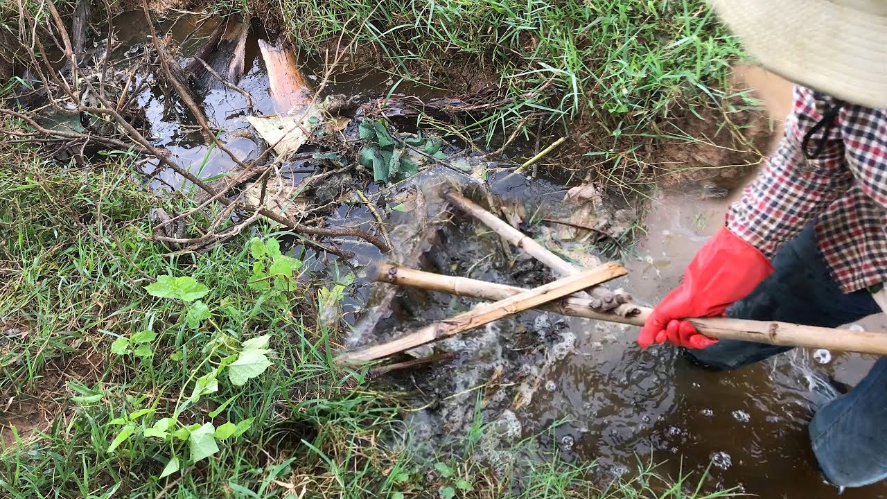 Clogged Culvert Pipe And Removing Debris Unclogging Culvert Drain YouTube