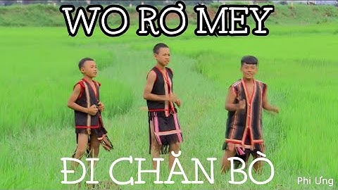 ĐI CHĂN BÒ - WĔI RƠ MO || TAM CA || Phi Ưng bazan