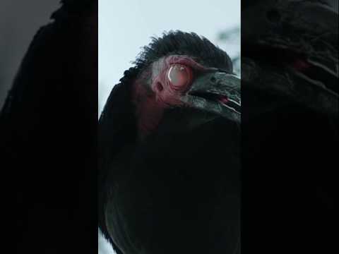 فكل مرة تحاول فيها أن تنقذ عائلتها الغراب دا بيمنعها Movie ملخص فيلم Fil Explore اكسبلور Comedy