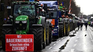 Révolte agricole aux Pays-Bas : Quelles leçons peut-on en tirer ?