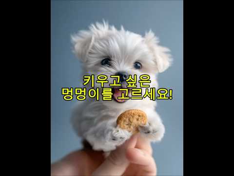 키우고 싶은 멍멍이를 고르세요 #ai캐릭터 #강아지쇼츠 #멍멍이 #쇼츠추천
