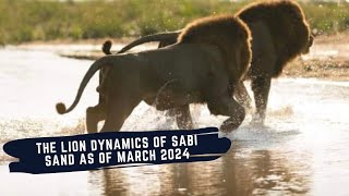 SOUTHERN AVOCA IN POOR CONDITION - MOHAWK AVOCA RETURNS TO SABI SAND - LIONS OF SABI SAND EPISODE 16