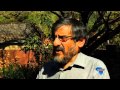 Democracy Africa interview