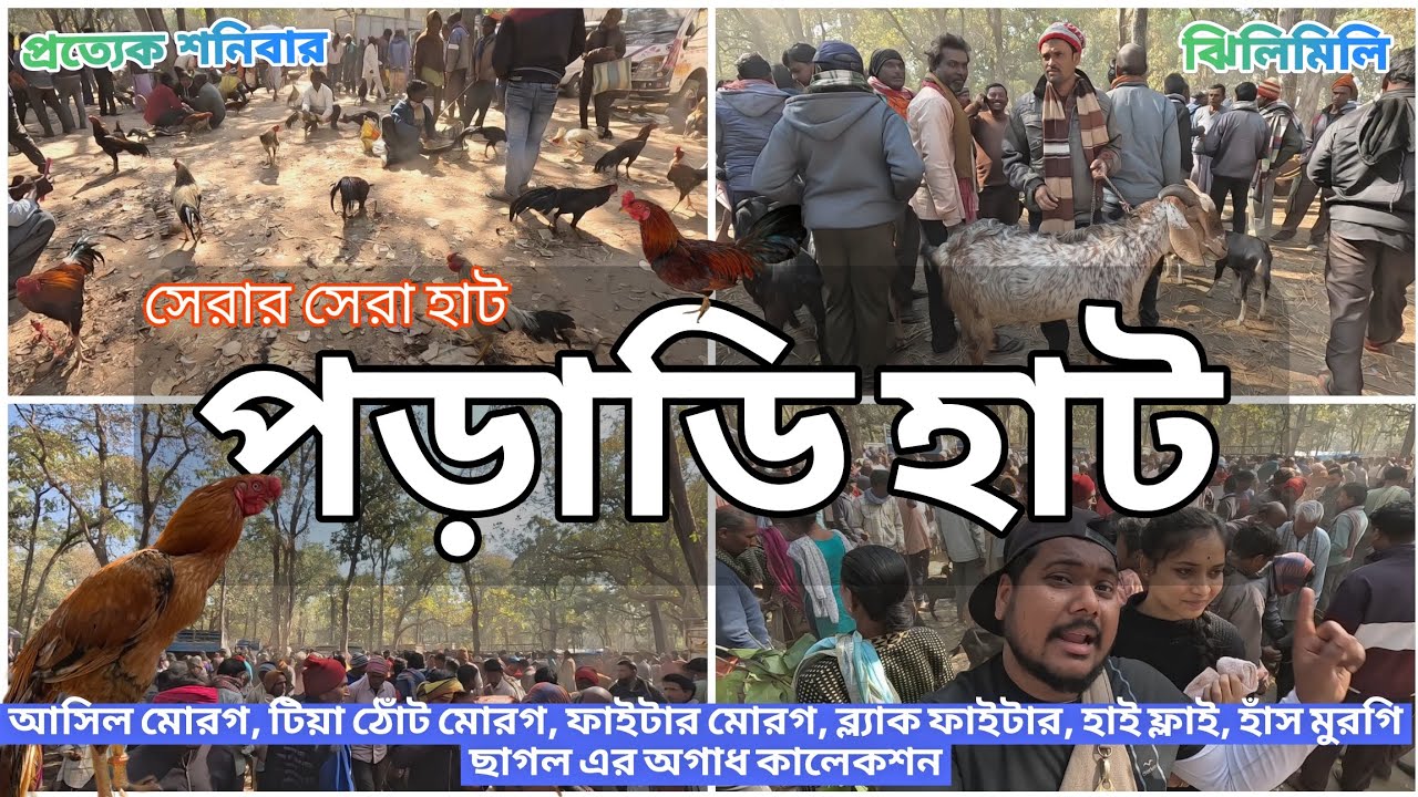 শনিবারের সেরা কালেকশন |পড়াডি হাট |Poradhi haat |সস্তা থেকে দামি সম্পূর্ণ ব্লগ with 