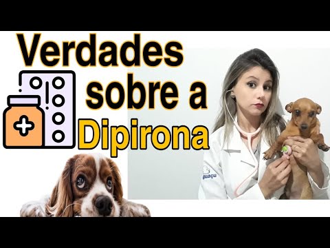 Vídeo: O que você pode dar um cão para a dor?