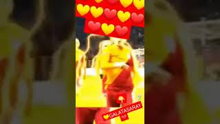 Şampıyon Galatasaray Fenerbahçe Kupadan Ne Anlar Aslan