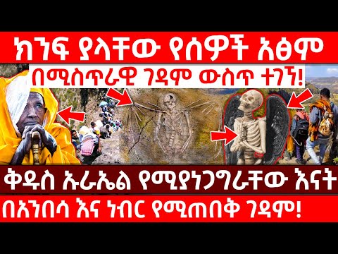 ቪዲዮ: በእሳት ክንፍ ያለው ቱርማሊን ማነው?