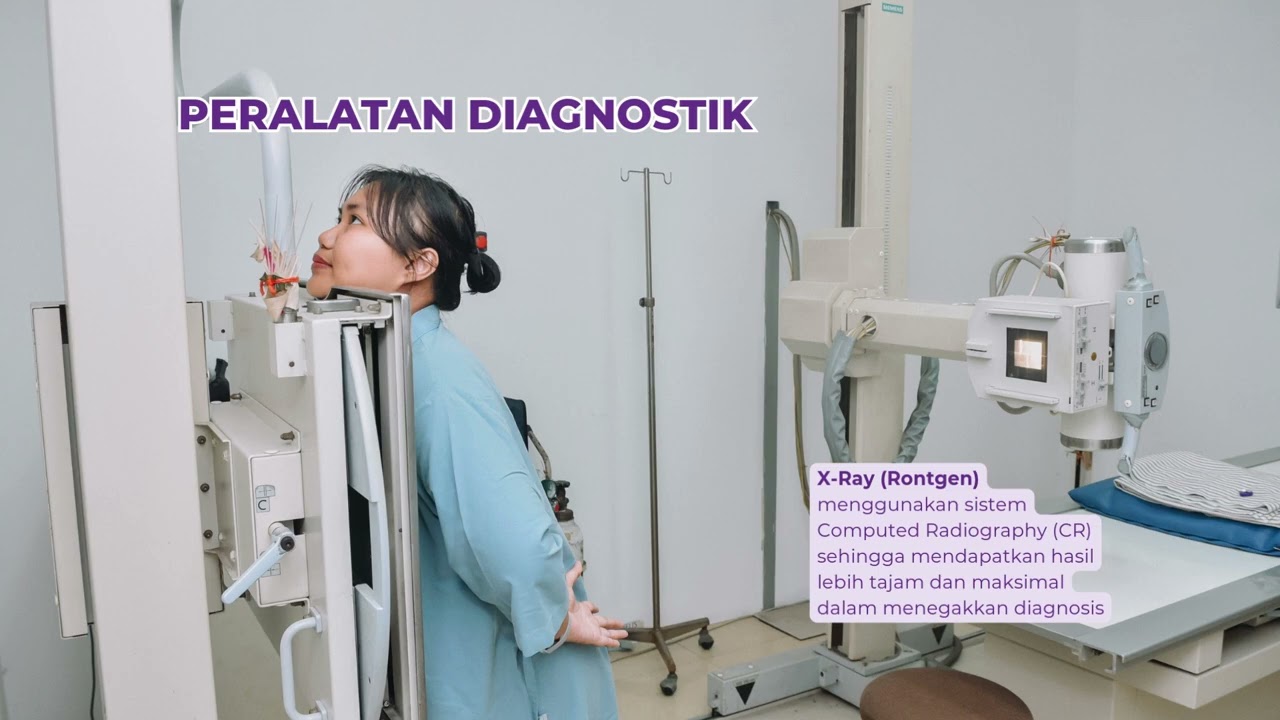 Company Profile Niki 2026