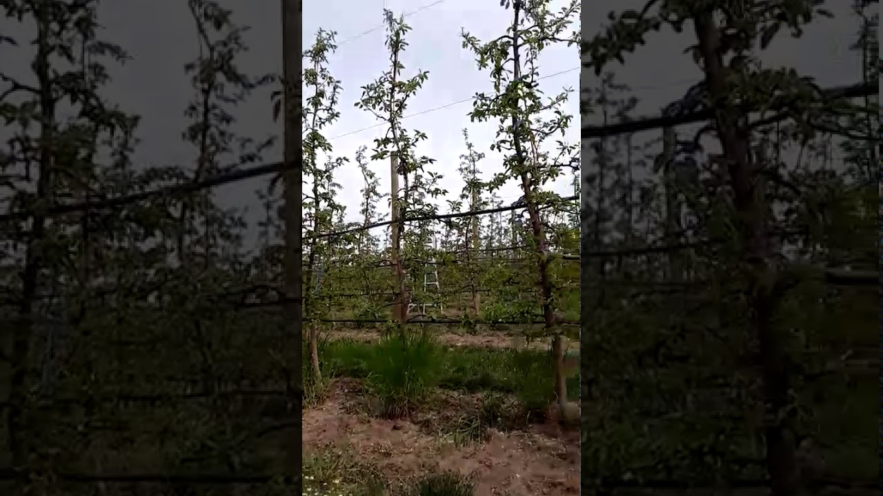 Mattawa Washington YouTube