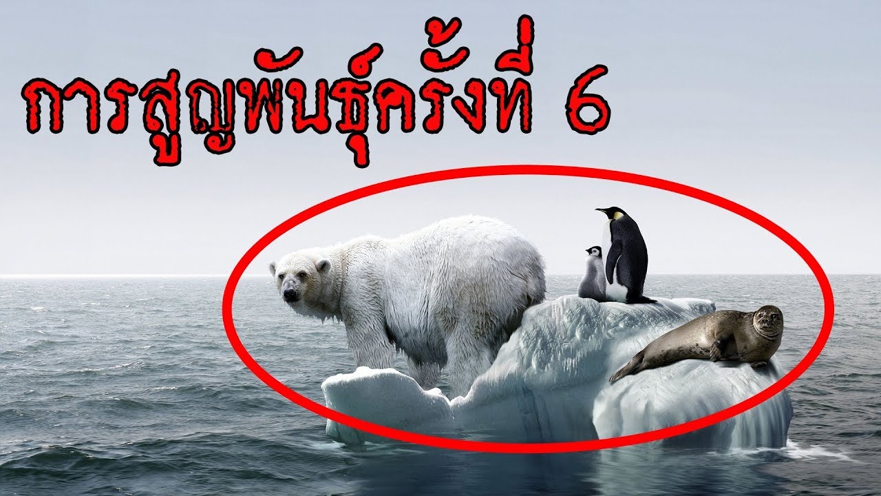  6 the 6th extinction youtube