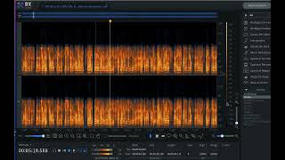 How to RECOVER audio in seconds with the new Izotope RX10 audio restoration software!