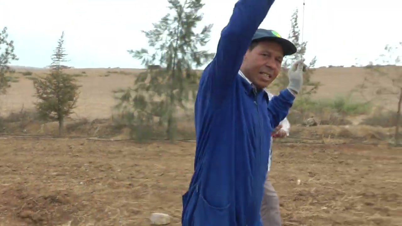 تسطير (طراساج) أماكن غرس الشتلات بطريقة ذكية ومتقنة واد زم