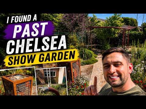 What Happens to a Chelsea Flower Show Garden After the Show? | Revisiting a Chelsea 2024 Show Garden