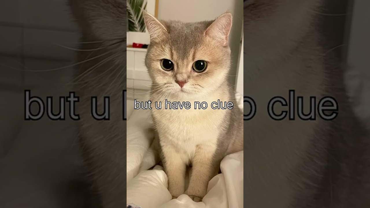 Warning this is a green screen warning