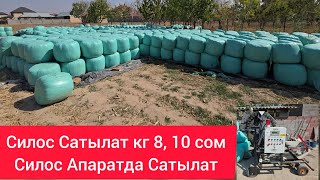 картинка: Силос Сатылат кг 8-сом, 10-сом  Силос Апаратда сатылат тел:0555160569
