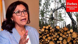 Norma Torres Warns Of ‘Skyrocketing’ Lumber Prices Causing Unstable Housing Market