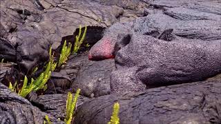 Famous Volcano Vocabulary Terms   Volcano Videos with Words Wealth