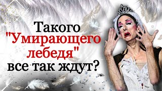 Такого "Умирающего лебедя" все так ждут? Чайковского или Сен-Санса?