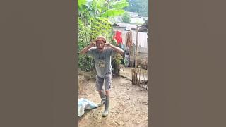 video lucu kocak bikin ngakak hiburan warga 62 meme trending funny shorts