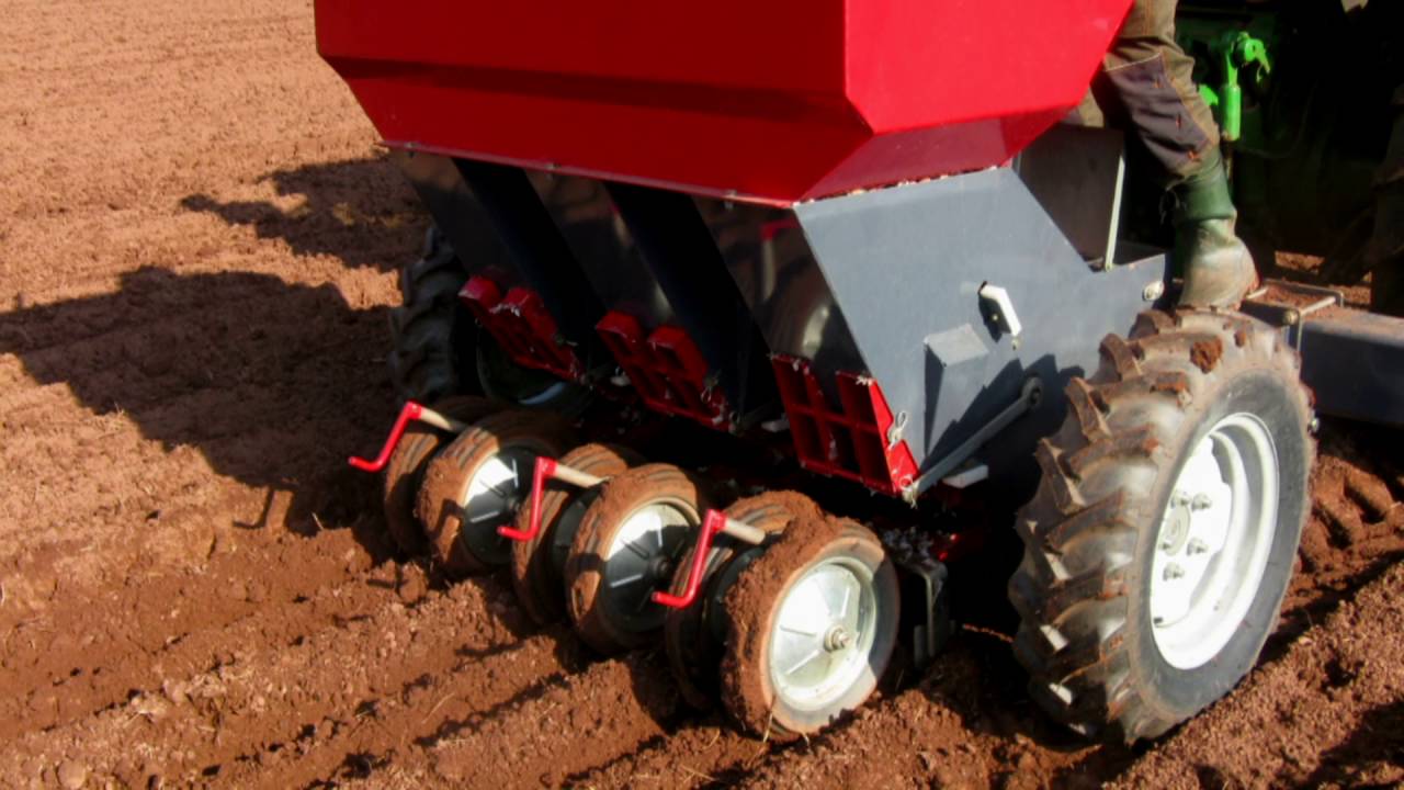 Český česnek z Podkrkonoší - Regionální potravina LK 2016