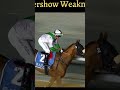 Arrivé extraordinaire #horse #courseshippiques #duo
