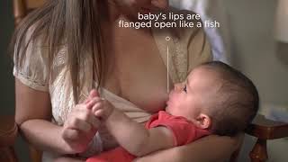 Oznaki Efektywnego Karmienia Piersią Dla Wersji Pl Włącz Napisy