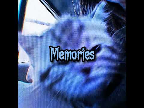 Memories -Xcho x Macan