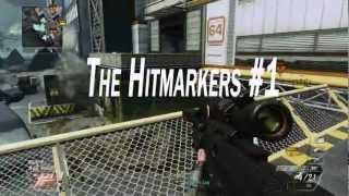 The Hitmarkers #1 | Zoo Statistics