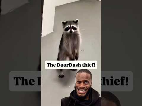 أراد المزيد     