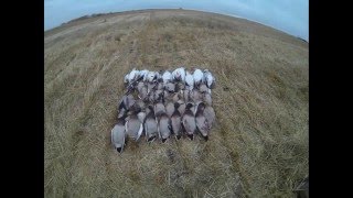 Saskatchewan 2015 Gopro Goose and Duck Hunt by Valley Ag Pilot 333 views 8 years ago 8 minutes, 25 seconds