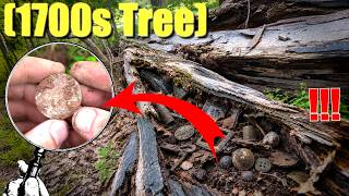 300-year-old Tree….FILLED WITH SILVER (metal detecting)