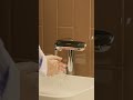 Sensor Tap KSDT20L Counter Mount, 2 in 1 Infrared Tap &amp; Soap Dispenser for Modern Washrooms Euronics