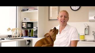 Hydrotherapie Ist Nicht Planschen Und Spielen