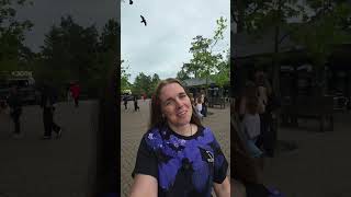 Is Alton Towers Busy?There will be a new bus route running from Derby Bus Station to Alton Towers