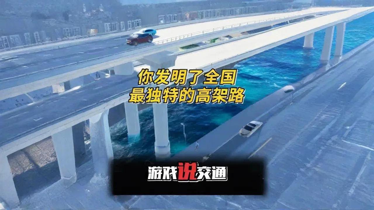 你发明了全国最独特的高架路！#交通科普 #道路设计#快速路 #广州#都市天际线