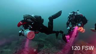 20260809 - Point Lobos Tech Dive